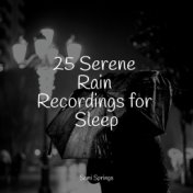 25 Serene Rain Recordings for Sleep