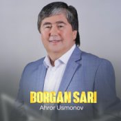 Borgan sari