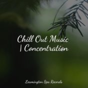 Chill Out Music | Concentration