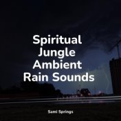 Spiritual Jungle Ambient Rain Sounds