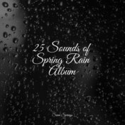 25 Sounds of Spring Rain Album