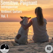 Sensitive, Poignant 40 Introspective Ambient Guitars Vol 1