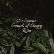 25 Serene Sounds of Sleepy Rain