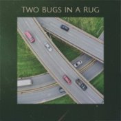 Two Bugs In A Rug