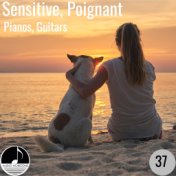 Sensitive, Poignant 37 Pianos, Guitars