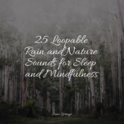 25 Loopable Rain and Nature Sounds for Sleep and Mindfulness