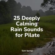 25 Deeply Calming Rain Sounds for Pilate