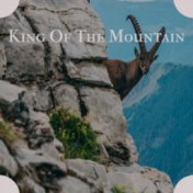 King Of The Mountain