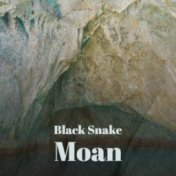 Black Snake Moan