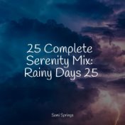 25 Complete Serenity Mix: Rainy Days 25