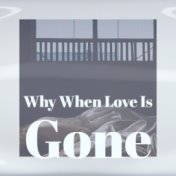 Why When Love Is Gone