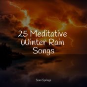 25 Meditative Winter Rain Songs