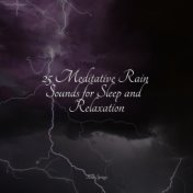 25 Meditative Rain Sounds for Sleep and Relaxation