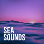 Sea Sounds