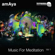 Music for Meditation Vol 1 Trypnaural