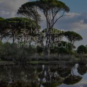 50 Meditation Sounds for Rest and Chilling Out
