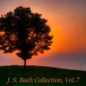 J. S. Bach Collection, Vol. 7