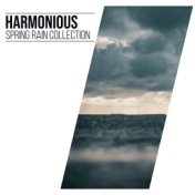 #15 Harmonious Spring Rain Collection