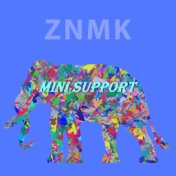 Mini Support