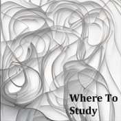 Where To Study