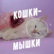 Кошки-мышки