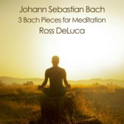 3 Bach Pieces for Meditation