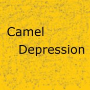 Camel Depression