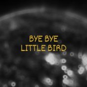 Bye Bye Little Bird