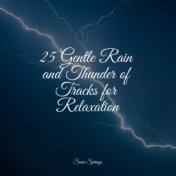 25 Gentle Rain and Thunder of Tracks for Relaxation