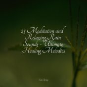 25 Meditation and Relaxing Rain Sounds - Ultimate Healing Melodies