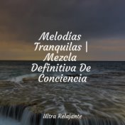 Melodías Tranquilas | Mezcla Definitiva De Conciencia