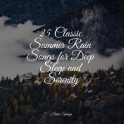 25 Classic Summer Rain Songs for Deep Sleep and Serenity