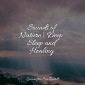 Sounds of Nature | Deep Sleep and Healing