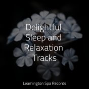 Delightful Sleep and Relaxation Tracks