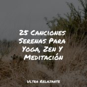 25 Canciones Serenas Para Yoga, Zen Y Meditación