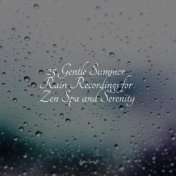 25 Gentle Summer Rain Recordings for Zen Spa and Serenity