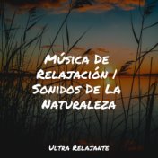 Música De Relajación | Sonidos De La Naturaleza