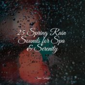 25 Spring Rain Sounds for Spa & Serenity