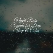 Night Rain Sounds for Deep Sleep & Calm