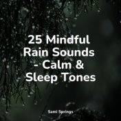 25 Mindful Rain Sounds - Calm & Sleep Tones