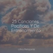 25 Canciones Pacíficas Y De Entrenamiento