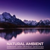 Natural Ambient (Ambient and Chillout Selection)