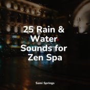 25 Rain & Water Sounds for Zen Spa