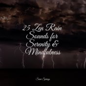 25 Zen Rain Sounds for Serenity & Mindfulness