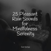 25 Pleasant Rain Sounds for Mindfulness Serenity