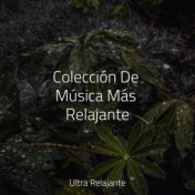 Colección De Música Más Relajante