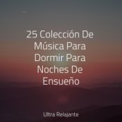 25 Colección De Música Para Dormir Para Noches De Ensueño