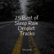 25 Best of Sleep Rain Droplet Tracks