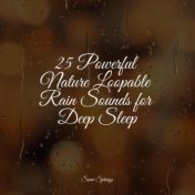 25 Powerful Nature Loopable Rain Sounds for Deep Sleep