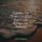 Sonidos De Otoño De 2021 Para Una Relajación Natural